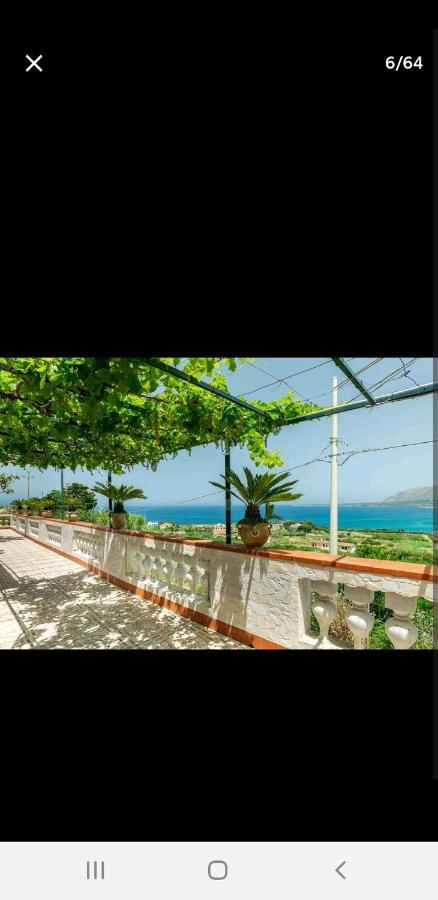 Villa Teresa Траппето Экстерьер фото